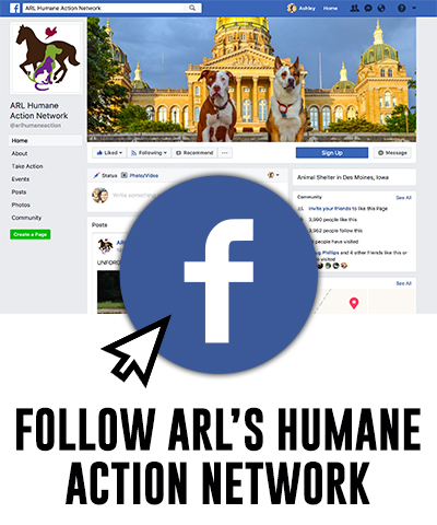 Follow ARL's Humane Action Network