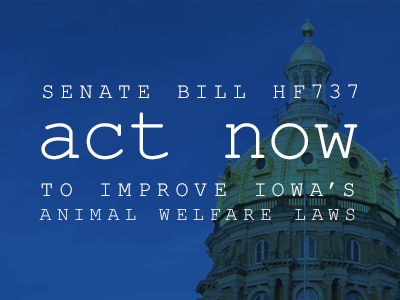 Senate Bill HF737: Must Pass Without Amendment