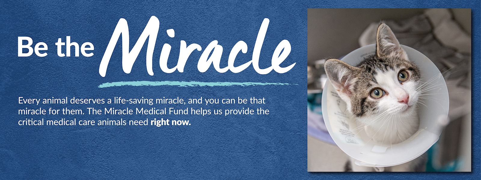 Miracle Medical Fund