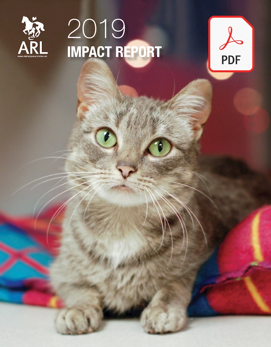 ARL 2019 Impact Report