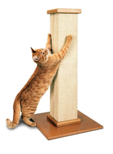 Cat scratching on scratching post