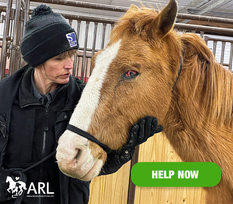 0315_4HorsesKeokuk_Header