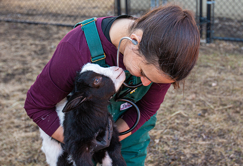 LeeCoDogRescue_Vet and Goat