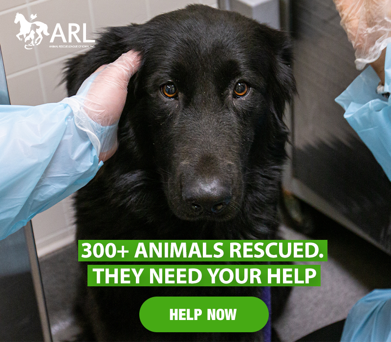 300+ Animals rescued. They need your help - Animal Rescue League of Iowa