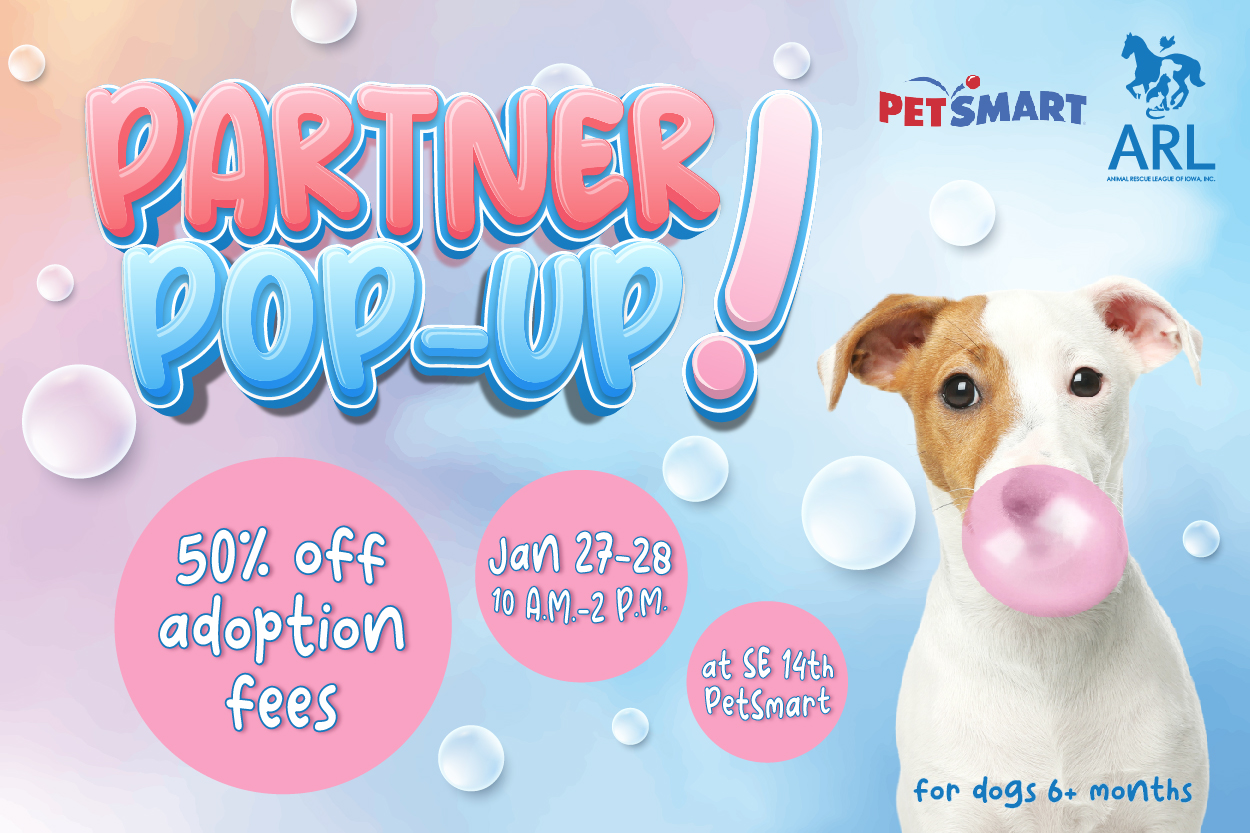 Dog Adoption Event