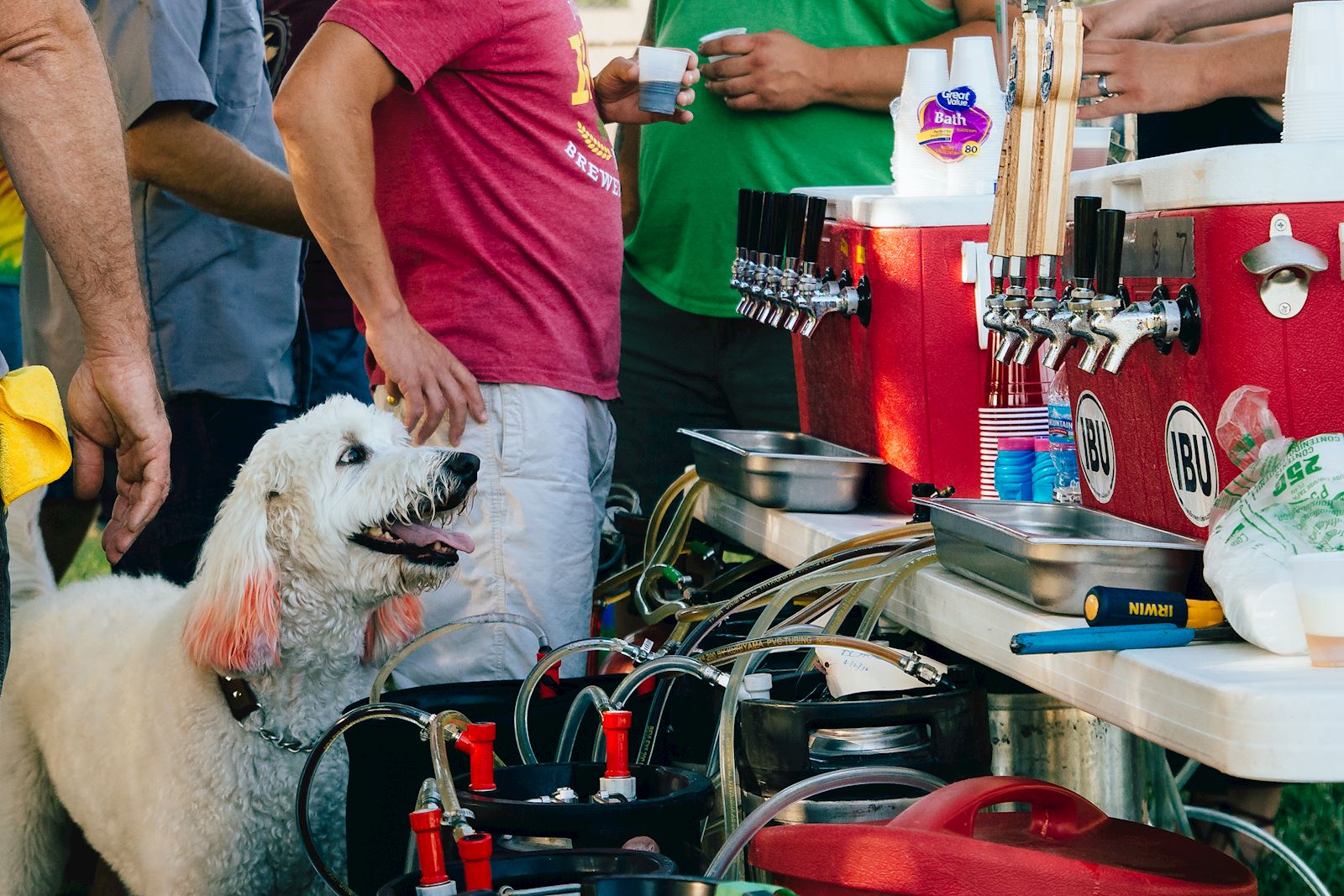 Yappy Hour at Bailey's Bark Park