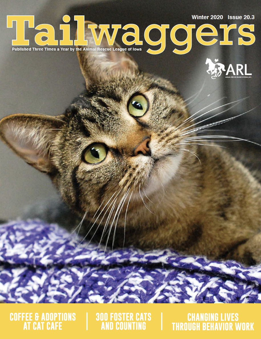 Tailwaggers Fall 2020