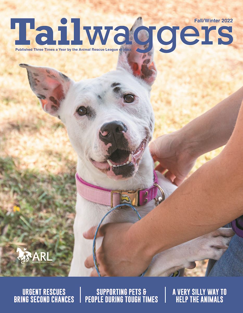 Tailwaggers Fall 2022