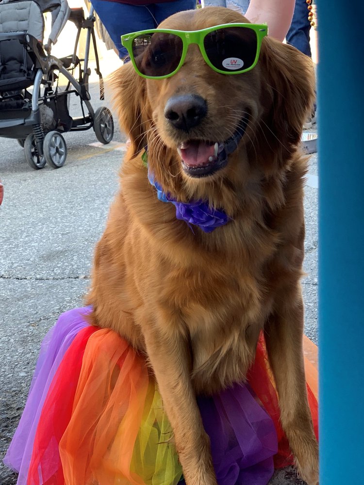 ARL at Pride Fest