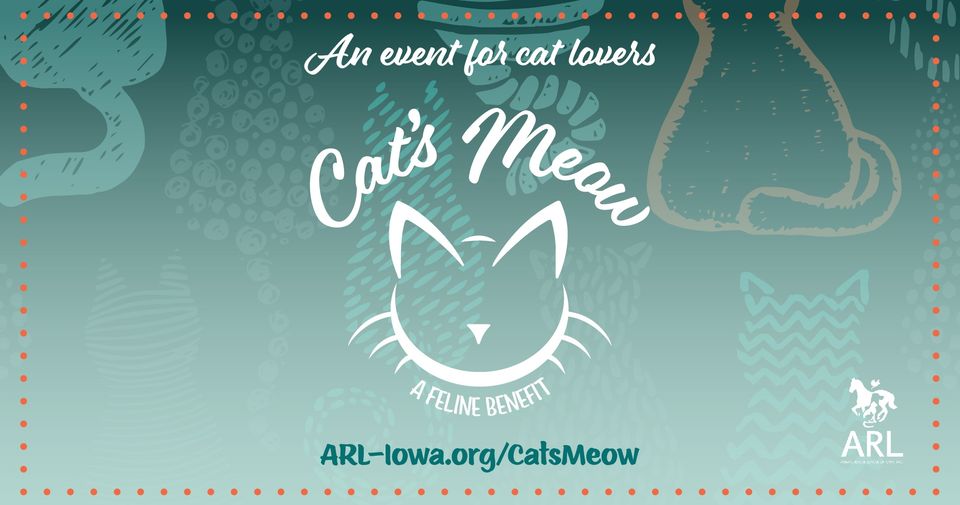 10 Reasons Cats Meow
