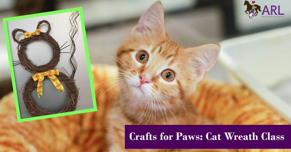 Crafts for Paws: Cat Wreath Class