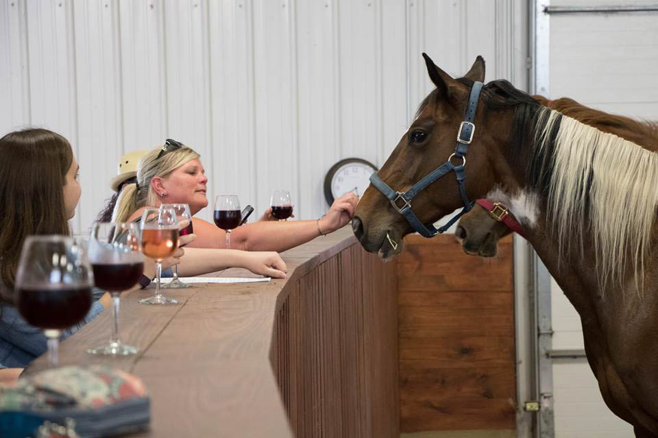 equine and wine