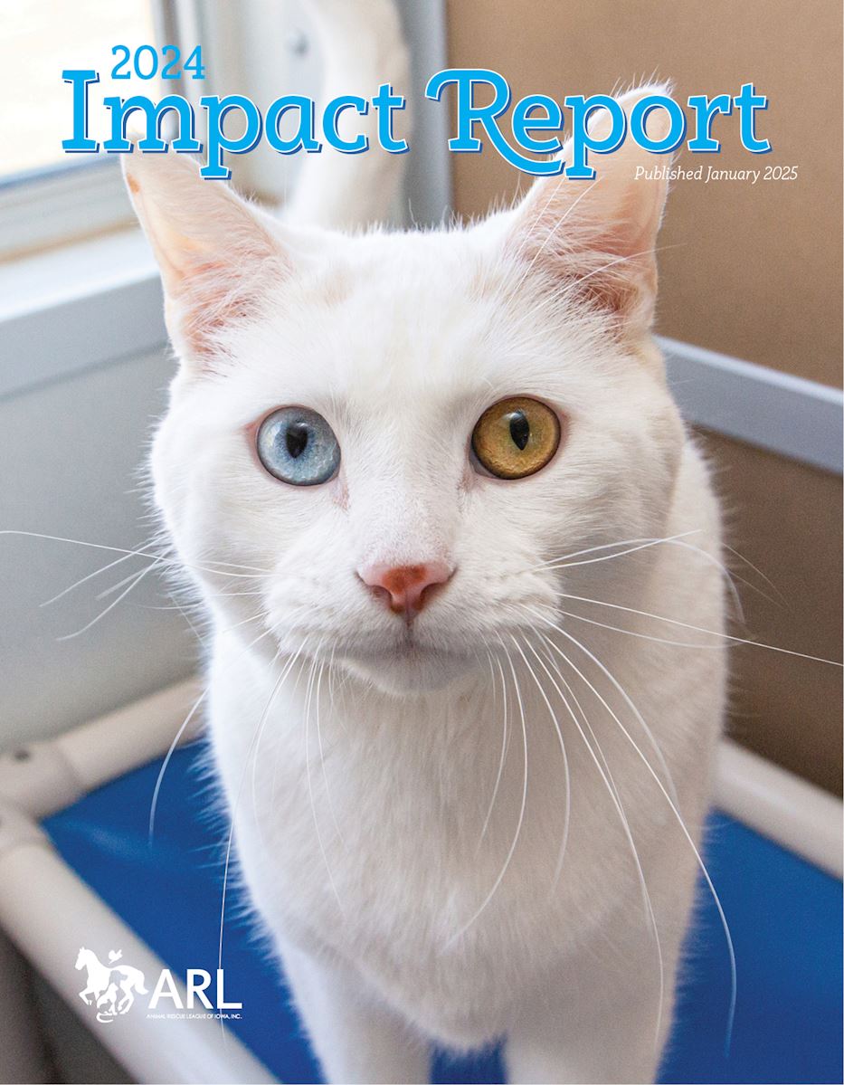 View ARL's 2024 Impact Report