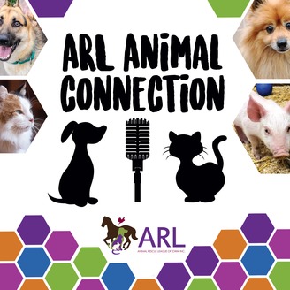 arl lost pets