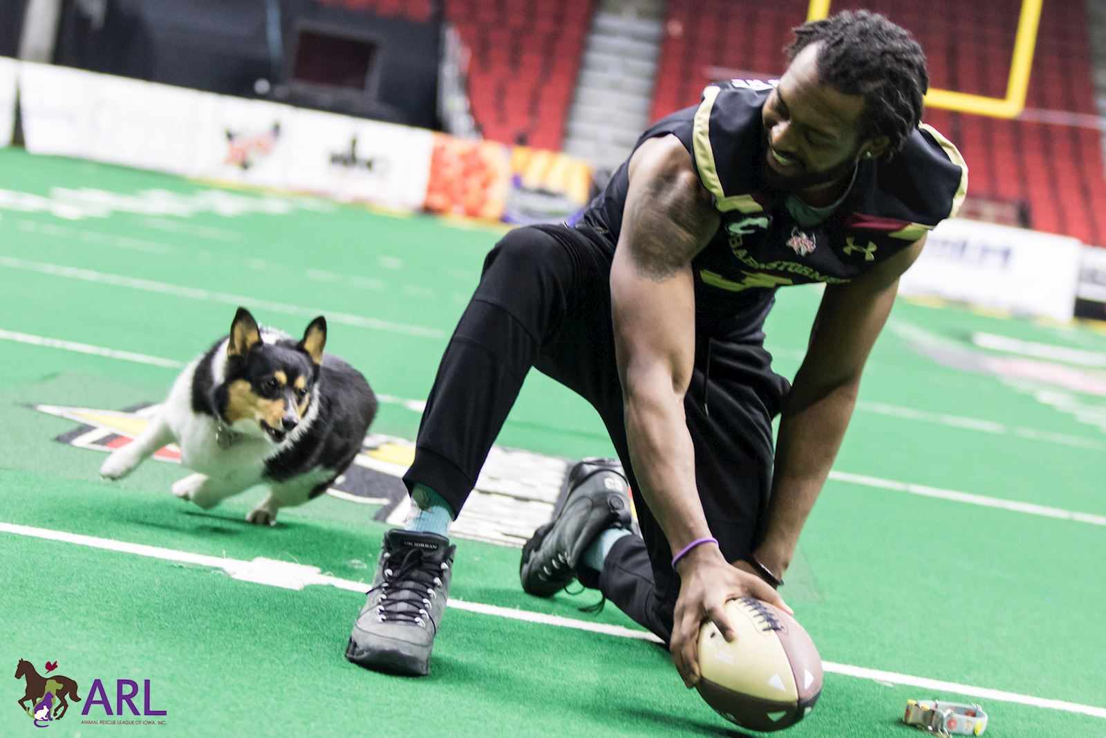 Corgi Chase 2023