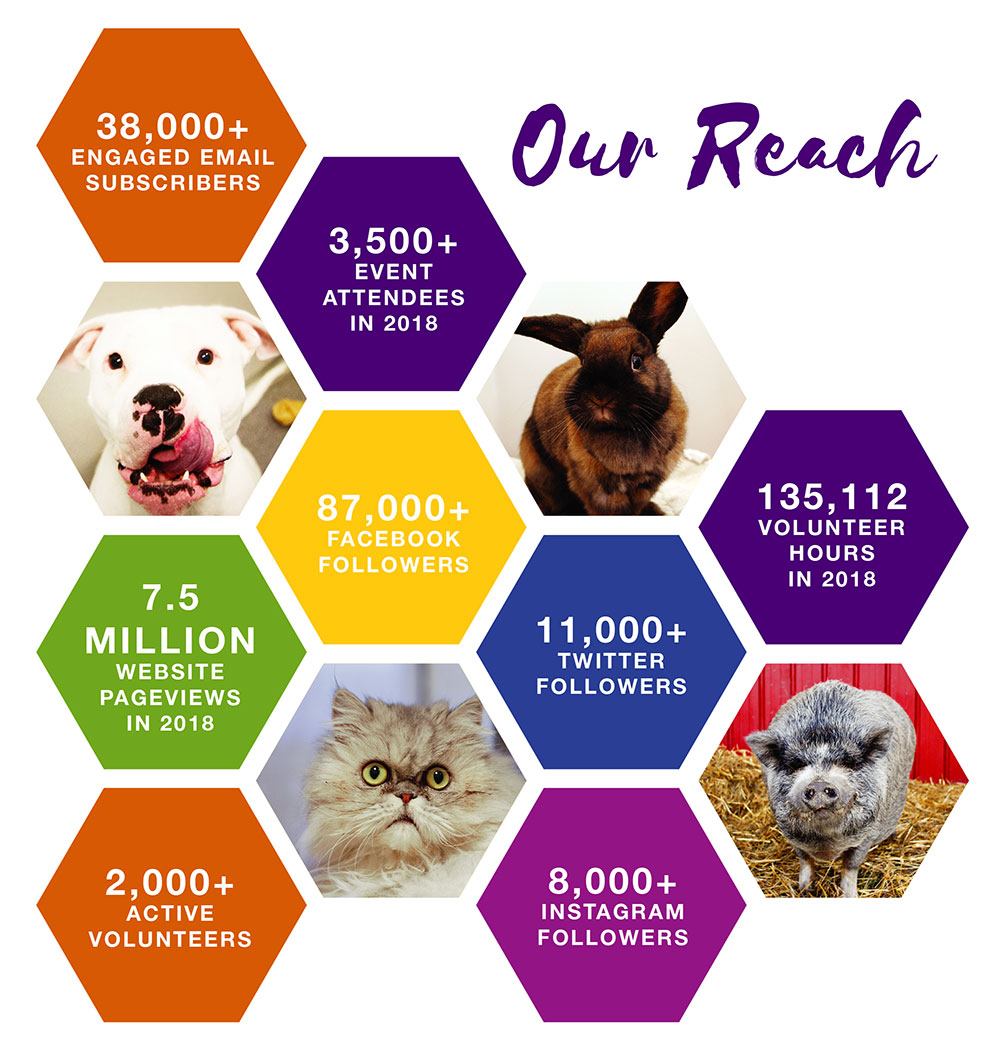 Our Reach