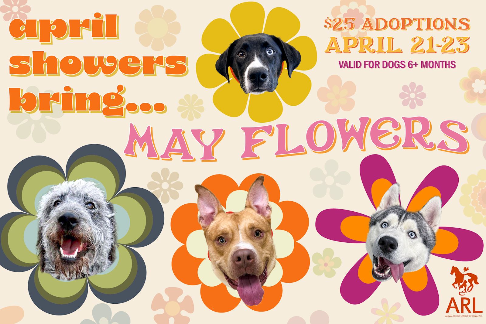April Showers Dog Adoption Event