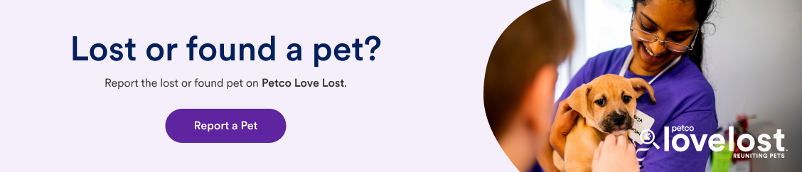 Lost or Found a pet? - Petco Love Lost