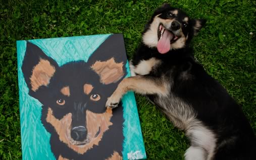 Paint Your Pet