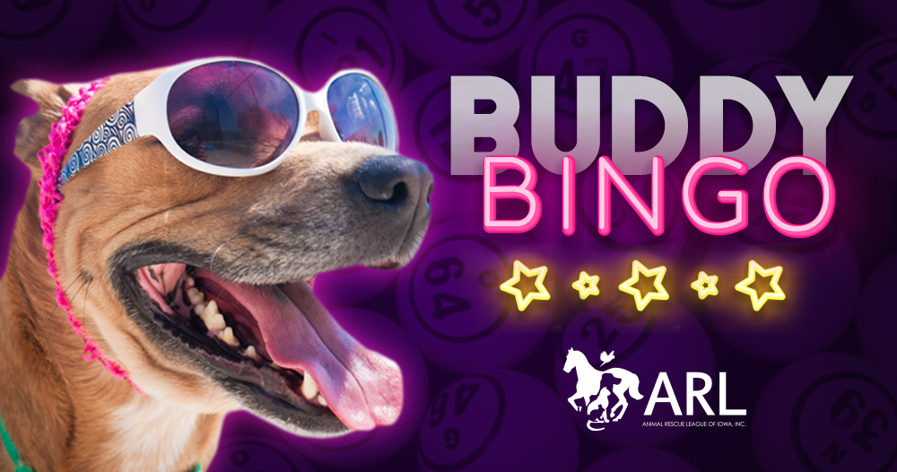 Buddy Bingo