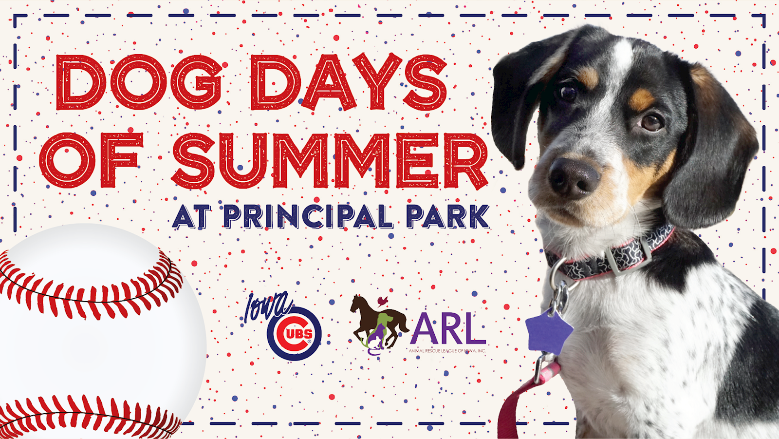 Dog Days of Summer at Iowa Cubs