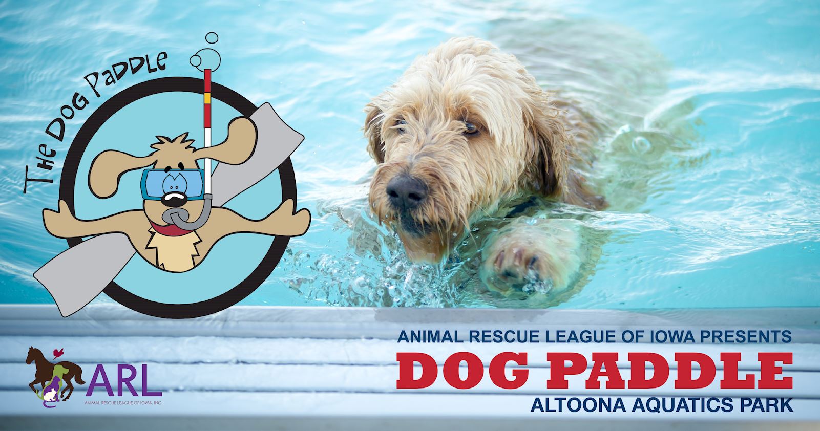 Dog Paddle
