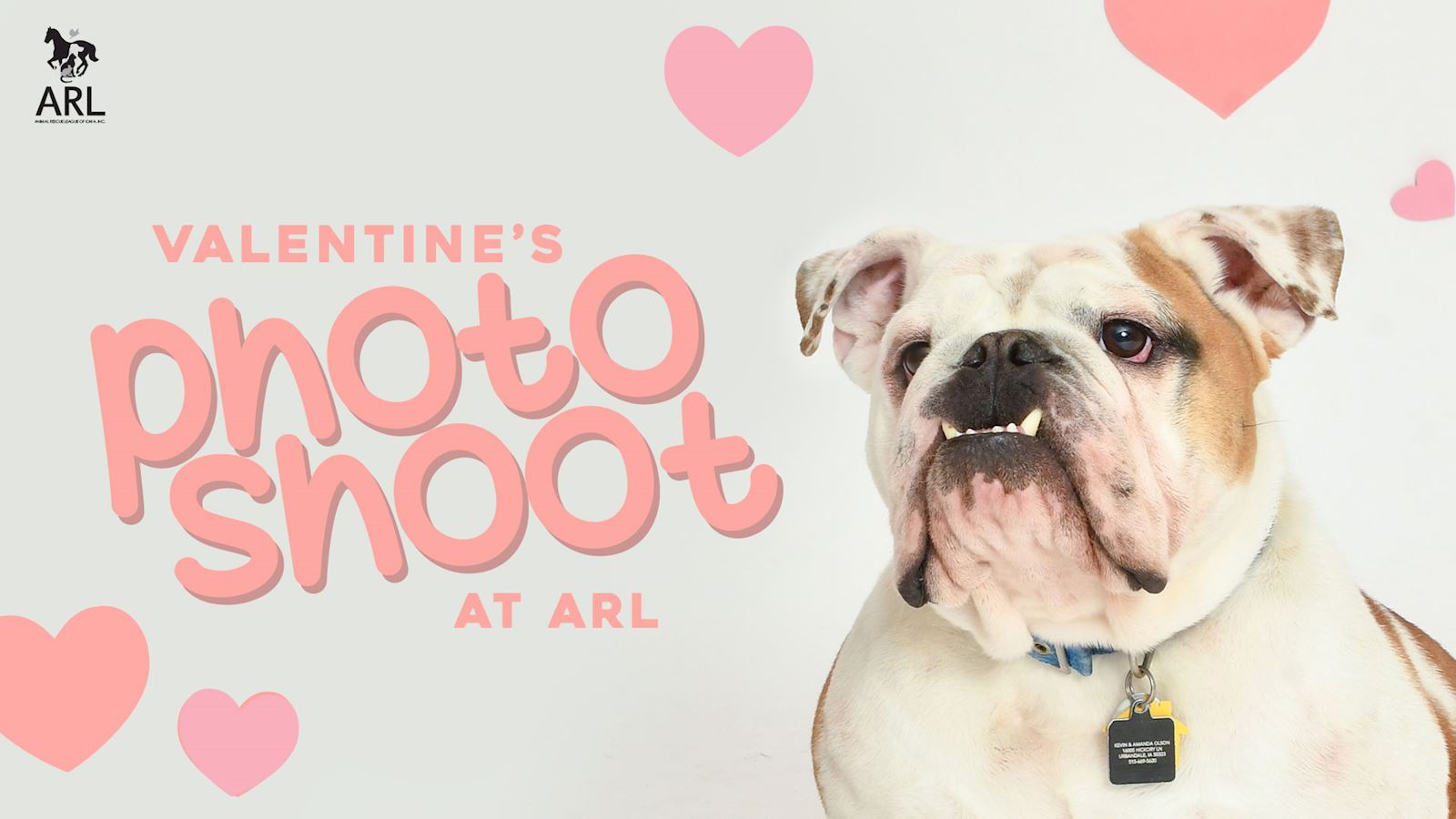 Valentine's Photo Shoot