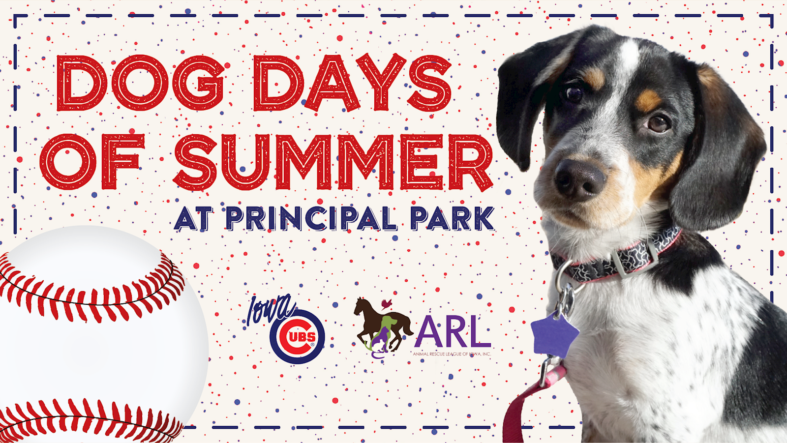 Dog Days of Summer