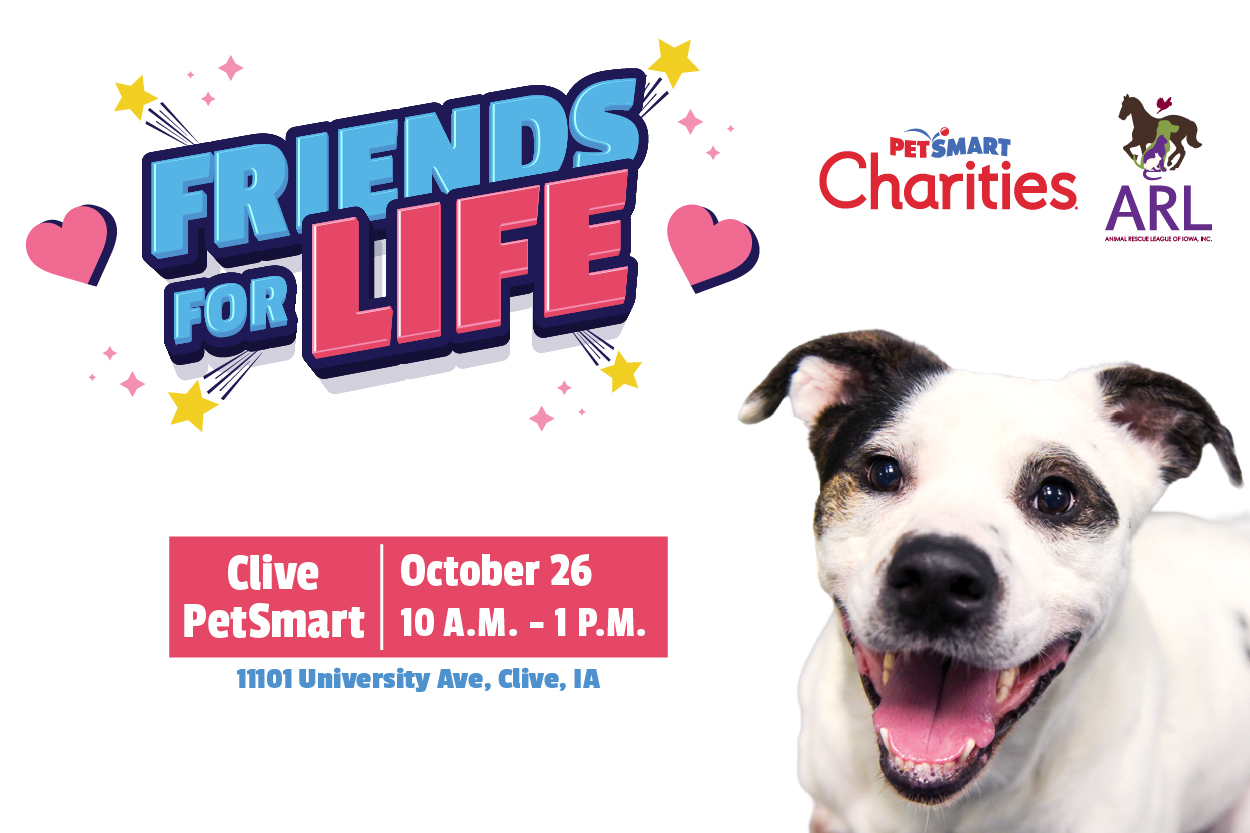 Friends for Life Adoption Event
