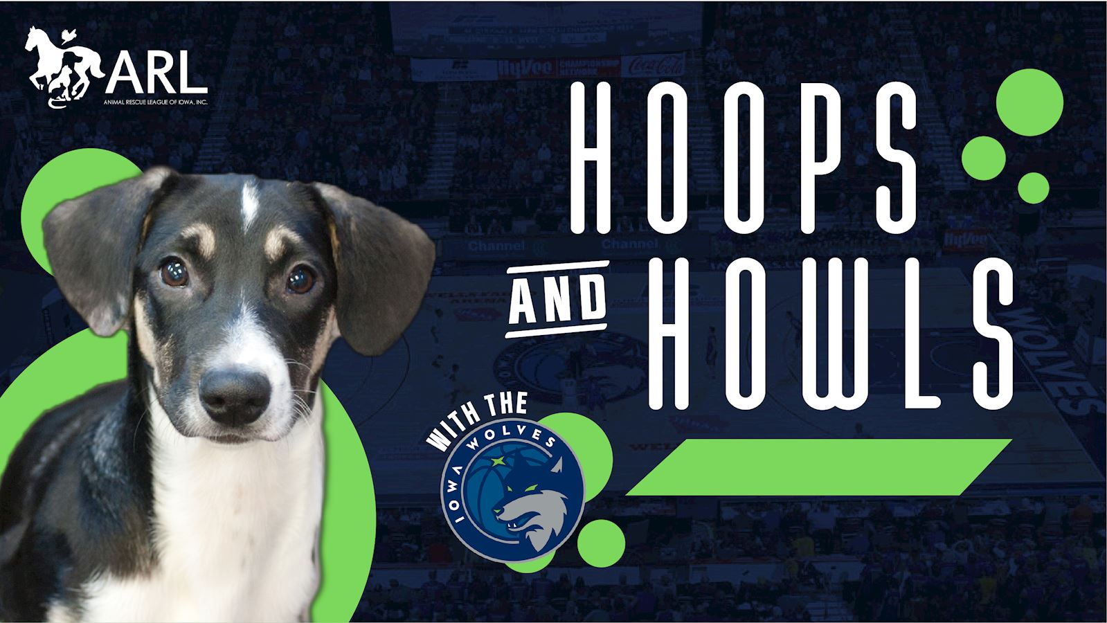 Hoops & Howls