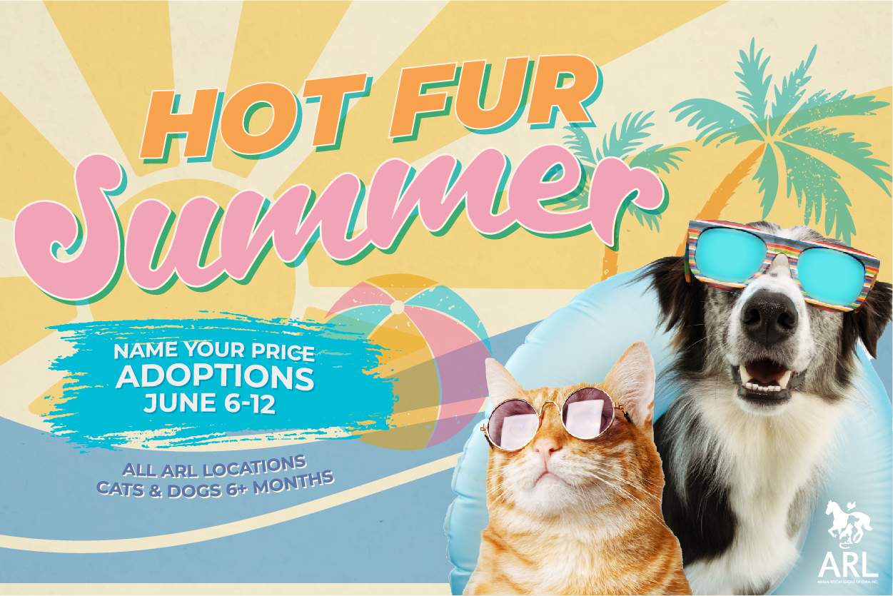 Hot Fur Summer NYP Adoption