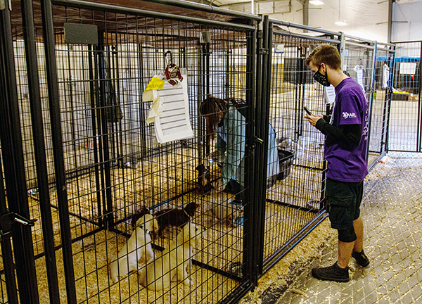 Temporary shelter at ISU