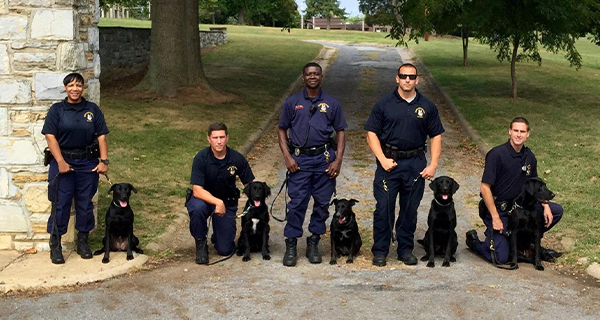 K9 & Police Dog Program