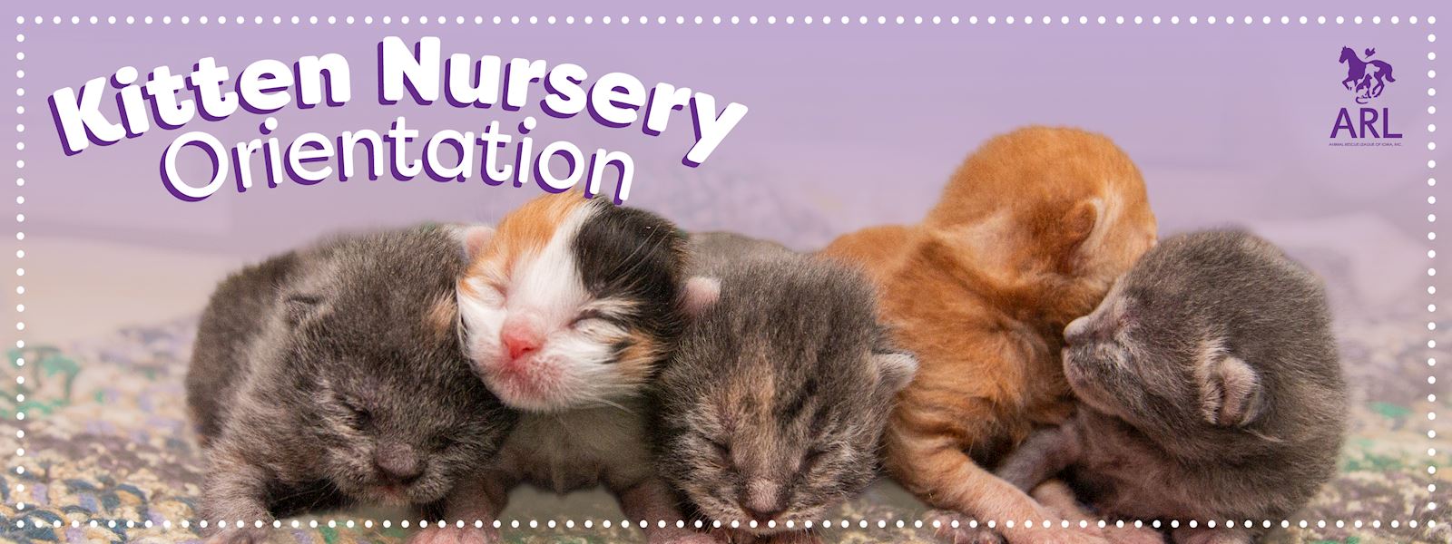 Kitten Nursery Orientation