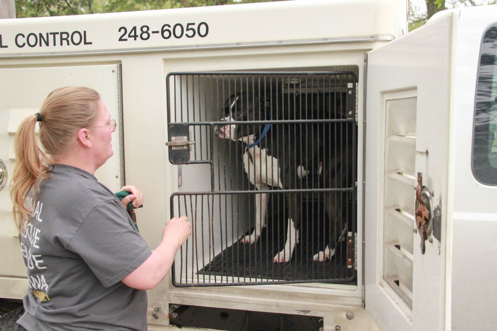 Animal Control Officer Helps Stray Dog