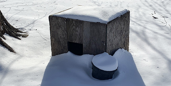 Shelter and frozen water