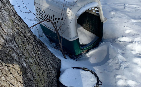 Dog shelter with holes and frozen water bowl