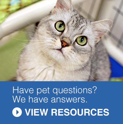 Pet Resources