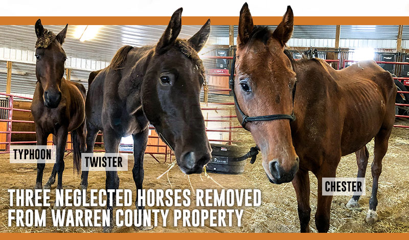 3 Horses Removed from Warren County