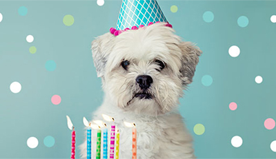 Birthdays
