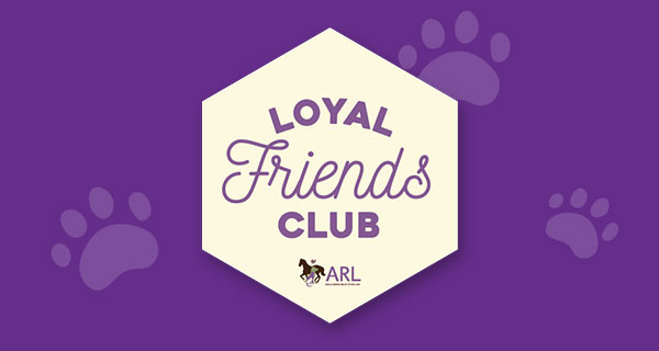 Loyal Friends Club