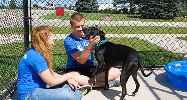 volunteering at dog shelters near me