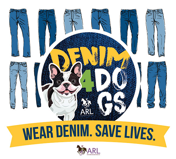 Denim for Dogs