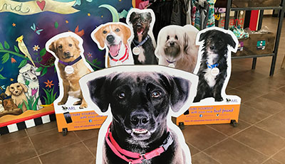 Adopt a Dog Cutout