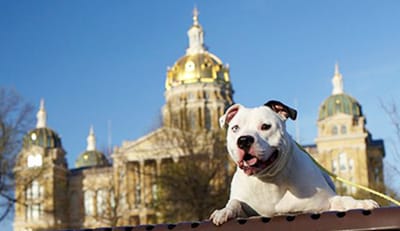 Des Moines BSL