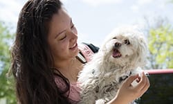 Spay/Neuter Programs at the ARL