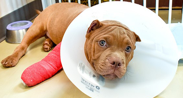 Before and After Surgery