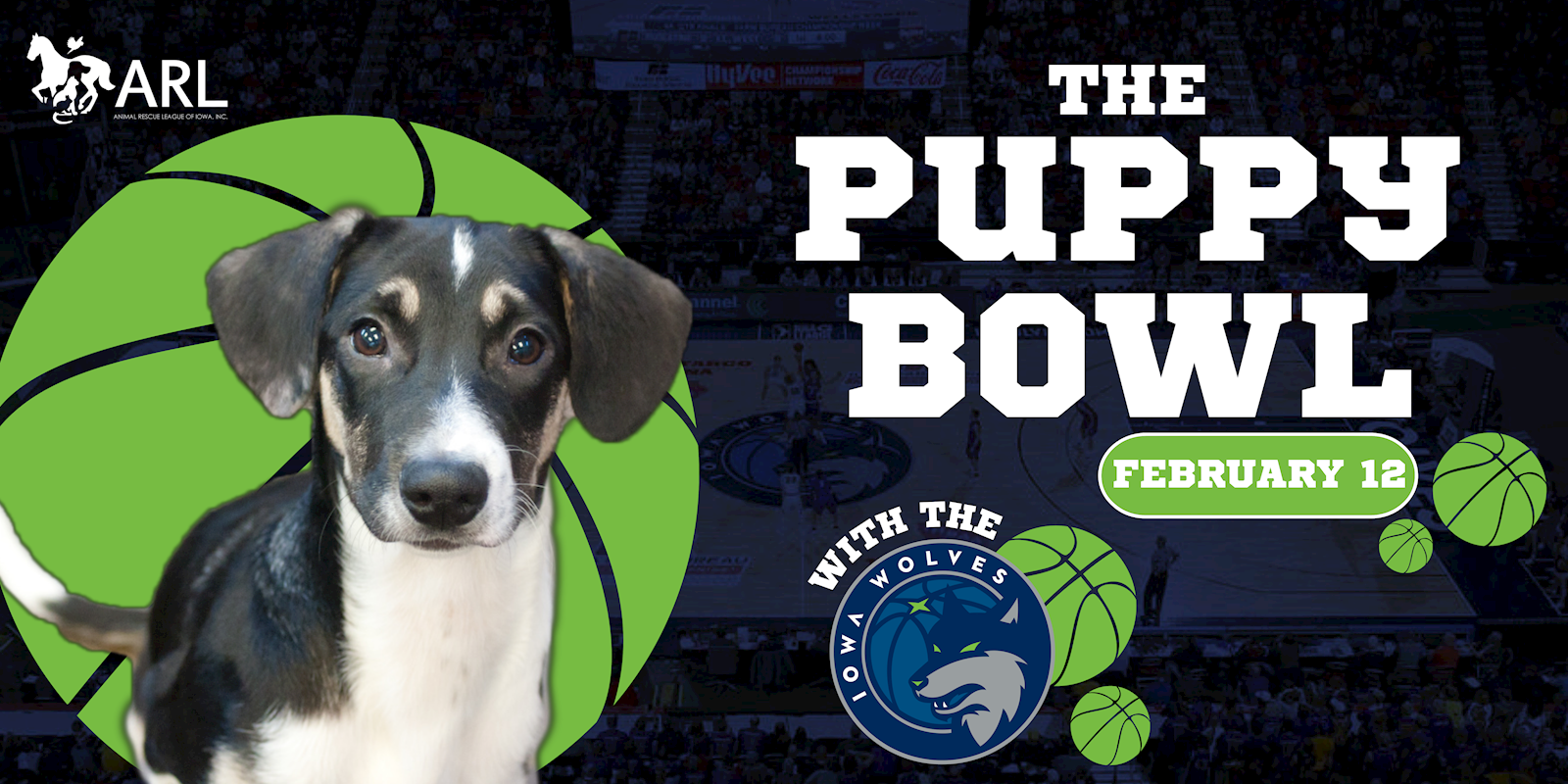 Puppy Bowl