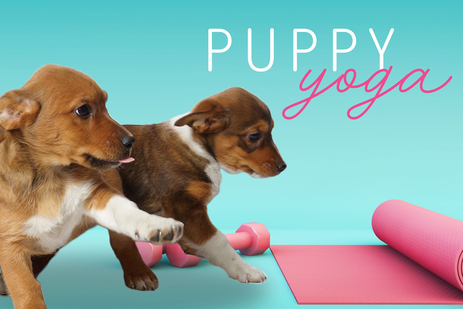 Puppy Yoga