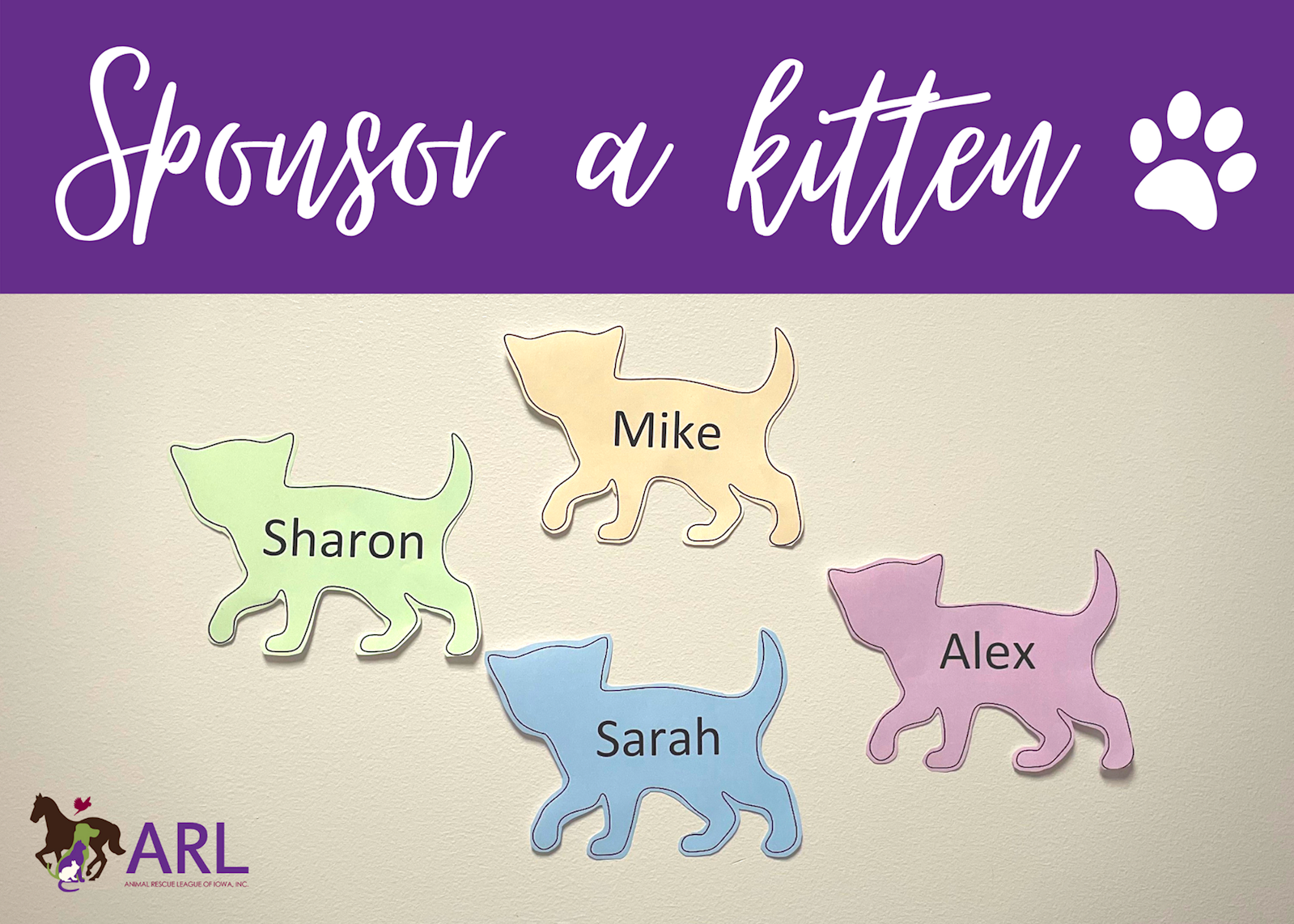 Sponsor a kitten